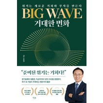 BIG WAVE(빅 웨이브) 거대한 변화:위기는 새로운 기회와 부자를 만든다, BIG WAVE(빅 웨이브) 거대한 변화, 김영익(저),베가북스,(역)베가북스,(그림)베가북스, 베가북스