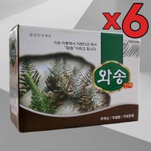 6개 묶음 와송 엑기스 와송즙 건강즙 100ml 60포 와송나무 음료 건강음