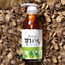 하늘호수 한방 하수오 뿌리채 쿨샴푸, 1개, 500ml