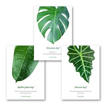 [아트톡] 인테리어 폼보드 3종 세트액자, 19.BOTANIC4