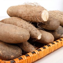 2022년 안동마 생 산마 상품 10kg, 단품