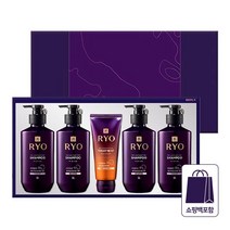 려 자양윤모 9EX 프리미엄 명절 선물세트 샴푸/트리트먼트(쇼핑백포함) 무/배