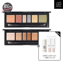 [AK PLAZA] [정샘물]아티스트 컨실러 팔레트 (비긴스 스킨토너15ml+앰플선5ml*2개), 스킨, 옵션선택