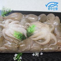 마산어시장 e수산물 냉동 활주꾸미 품질좋은 싱싱한 냉동주꾸미 쭈꾸미 1kg 볶음 샤브샤브, 1개