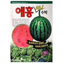 애홍미니수박씨앗 10립 애플 미니수박