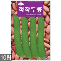 얼룩이 강낭콩 씨앗 70립 - 씨 강낭콩씨 강낭콩씨앗 콩씨 콩씨앗 강남콩씨앗 주말농장 텃밭, 19_적작두콩(10립)