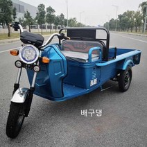 화물전기차 삼발이 사료운반 삼륜차팜트럭 농업용, 표준 1.2m(배터리 및 충전기 제외) 60V