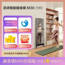 피트니스 스마트미러 AI 댄스 매직미러 요가 운동 전신 홈피트니스, 스마트 피트니스 미러 M30
