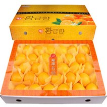 황금향5kg 중(27~30과)/ 제주도에서 우체국택배로 직접발송 선물용 가격인하, 일반포장