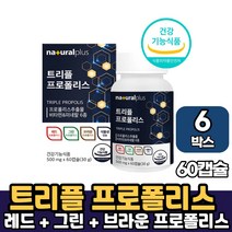 식약처 인증 프리미엄 레드 그린 브라운 푸로폴리스 트리플 프로폴리스 식물성 캡슐 츄어블 추어블 타입 영양제, 6박스, 트리플프로폴리스 x 60캡슐