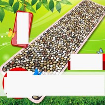 발바닥 지압판 2m 옥돌 발 마사지 가정용 지압 매트, 화이트 40x200cm