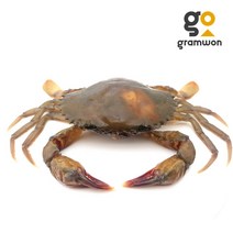 소프트크랩 900g~1kg 7~9미 (뿌팟퐁커리 껍질먹는게), 소프트크랩 7-9미 100-120 900g