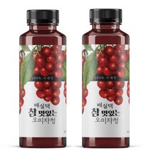 배실댁 문경 오미자청 원액 엑기스 9개월 숙성 1000ml 2개