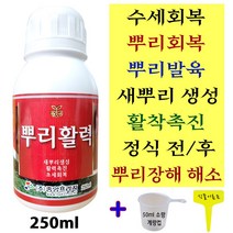뿌리발근제 회복제 식물 침지 삽목 뿌리영양제 뿌리전용비료 새뿌리생성 활착촉진 뿌리활력 250ml+계량컵 식물이름표set 액비 수세회복 발육제 삽목용 발근제 발근촉진제 식물영양제