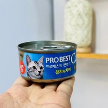 더착한 (ABM도매콜) 프로베스트 캣푸드 참치+치어80g, 상세페이지 참조, 상세페이지 참조, 상세페이지 참조