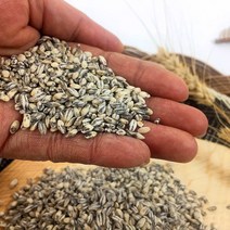 전남구례 지리산 국산 100% 잡곡 현미 찰흑미 찹쌀 오색쌀 현미 찰보리 8종, 현미찹쌀1kg