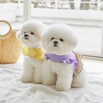 베니즈 반려동물 피크닉 프릴 하네스, 퍼플