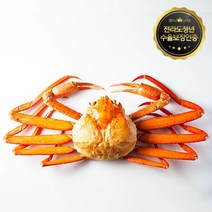 [선주직송 수율보상제] 속이 실한 포항 구룡포 홍게 소 중 대 5마리, 육수용 5-10마리(2kg)