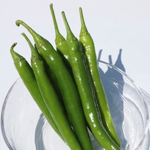 청보 오이고추 아삭이고추 150g