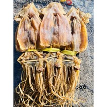 [오징어선물세트] 포항 구룡포 마른 건조 오징어 1.5키로(20미) 당일배송