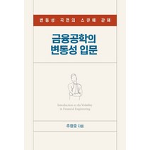 금융공학의 변동성 입문:변동성 곡면의 스큐에 관해, 추정호 저, 에이콘출판