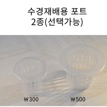 부라더플랜트 수경재배포트(스펀지포함), 1개, 큰사이즈