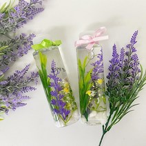 저학년 공예 미술놀이 미술치료 체험교육 재료세트 하바리움 실버센터 두뇌발달 아동