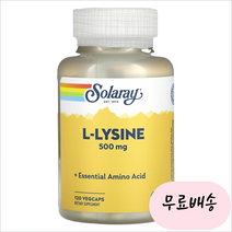 [솔라레이]-M2-L 리신 라이신 Lysine 500mg 120개입, 1개, 120개