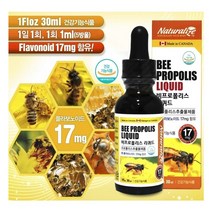 네추럴라이즈 비 프로폴리스 리퀴드 스포이드 액 캐나다 프로폴리스추출물 액상 플로폴리스 플라보노이드 17mg 구강 가족