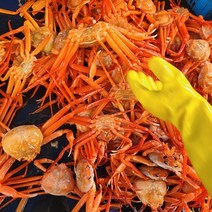 국산 독도 홍게 붉은 대게 자숙 3kg 8-11미 [일반형/프리미엄/선물용], (자숙) 국산 독도홍게 일반형 3kg, 1팩, 3kg(8-11미)