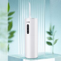 휴대용 구강 세정기 치아 전동 물치실 치석 치실 세척기, R99319W(화이트
