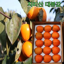 지리산 하동 대봉감 대봉시 5kg 10kg 자연 후숙 산지직송 감말랭이, 대봉감 5kg 대과 15-16과내외