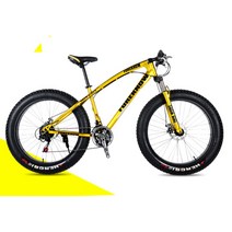 24인치 MTB 산악용 팻바이크 엠티비 오프로드 광폭타이어 바퀴큰자전거 성인용 펫바이크, 24단, 골드 일반 스포크
