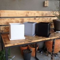 [천삼백케이] [오너클랜] 모던 도기 사각 화분 C0108 15x15x15cm, 화이트