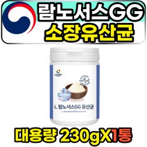 성인 어른 공복 노인 소장 대장 유산균 가루 분말 락토바실러스 람노서스 GG 프로바이오틱스 프랑스 명품 프리미엄 엘지지유산균 프락토올리고당 신바이오틱스 SYNBIOTICS 대용량