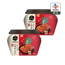 CJ제일제당 비비고 썰은배추김치 300g x2개 340543