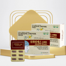 진큐피에스브레인 2개월분 기억력향상 인지기능개선 두뇌영양제 포스파티딜세린 은행잎추출물 피브로인추출물 뇌영양제