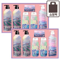 애경 설 선물세트 아트에디션x2 명절 단체 회사 대량, 단품