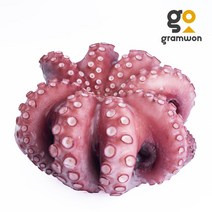 자숙문어 500g 통문어, 자숙 통문어 500g