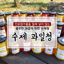 무색소 무첨가 100% 수제청 과일청 자몽청 500g, 4번 키위청, 1개