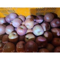 [팜플루트]갈아먹는 사과10kg 주스용사과 요리용사과 10kg, 10kg