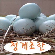강원고성 자연방사 유황 청란 초란 청계알 청계란 유정란 무항생제 난각1번, 초란 30개입