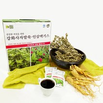 강화약초 강화사자발쑥 진액 건강즙 100ml 60개 인삼포함, 30팩 x 2박스, 60팩