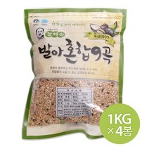 참쌀닷컴 장세순 발아 혼합9곡 4kg (1kg x 4봉)