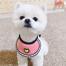 알알 강아지 고양이 편안한 케이프 M + 옷걸이, 하트(핑크), 1개