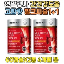 연말행사 간 건강 도움 고함량 밀크씨슬 영양제 추천 필름끊김 술 잘마시는 법 에좋은 음식 실리마린 정 캡슐 SILYMARIN milkthistle 안취하는 20대 30대