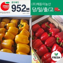 <해돋이농산> 국내산 못난이 파프리카 혼합 빨강 노랑 1kg 2kg 5kg 상세페이지참조, 혼합1kg” class=”wr-img”></a></div></p></div></p></div></p></div><div class=
