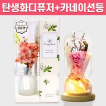 탄생화 디퓨저 선물 세트 4월 탄생화 벚꽃 + 카네이션 무드등 어버이날 부모님 선생님 엄마 장모님 생일 집들이 프리저브드 플라워 결혼 선물 실내 방향제 디퓨져, 라벤더, 핑크, 500ml