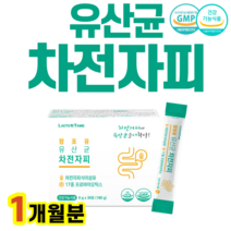 식약처인증 차전자피 차전차피 차천자피 프로바이오틱스 프로바이오스틱 장 건강 관리 식이섬유 락토바실러스 가세리 카제이 루테리 플란타룸 비피덤 화장실 헬베티쿠스 불가리쿠스 대장 기능, 1개, 6gX30포