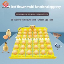 병아리 부화기 자동 계란 용량 36/156 오리 치킨 버드 플라스틱 트레이 인큐베이터 회전 모터로 부화, DC12V